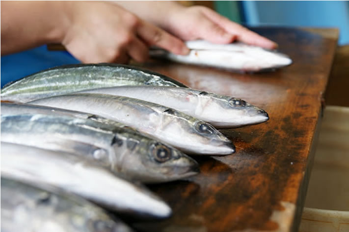 藍ヶ江水産 加工